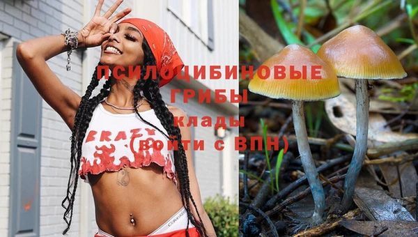молекула духа Богородск