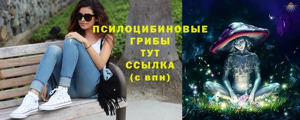 молекула духа Богородск